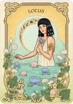 Flower Folklore Oracle: Wisdom of the Flowers
