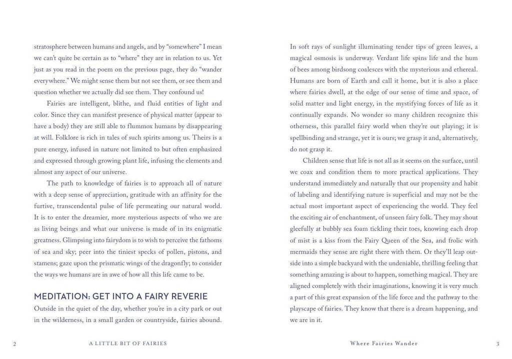 A Little Bit of Fairies by Elaine Clayton: Hardcover