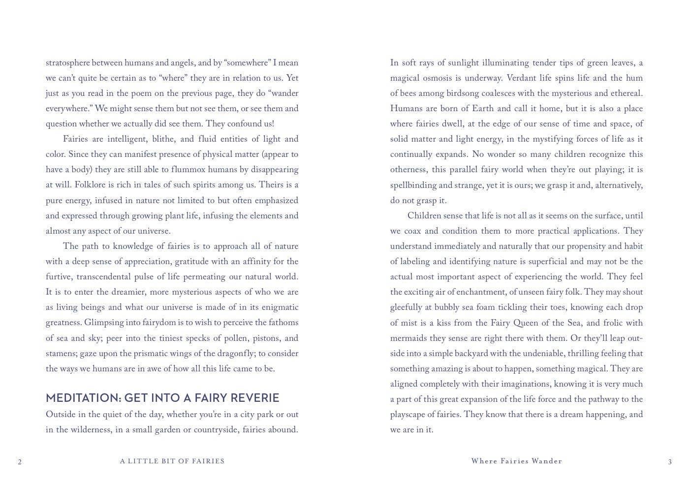 A Little Bit of Fairies by Elaine Clayton: Hardcover