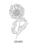 Leo: Your Cosmic Coloring Book by Mecca Woods: Paperback 48 pages / English