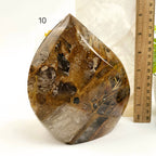 Golden Healer Quartz Crystal Flame Point Cut Base - You Choose #1: 4