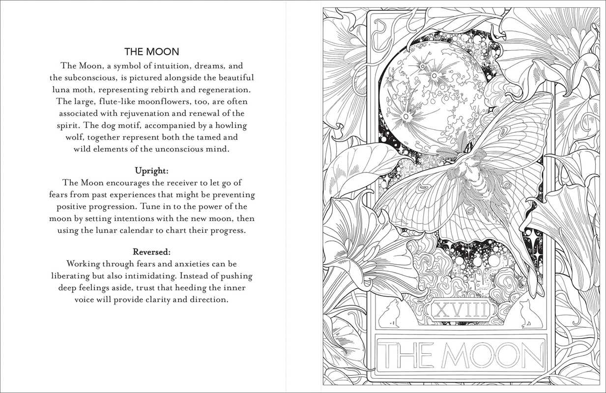 Tarot Coloring by: Paperback 96 pages / English