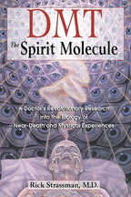 DMT: The Spirit Molecule by Rick Strassman: Paperback 384 pages / English