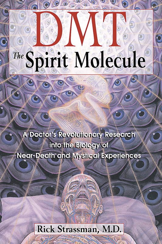 DMT: The Spirit Molecule by Rick Strassman: Paperback 384 pages / English