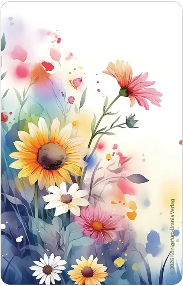 Summer Serenade Lenormand