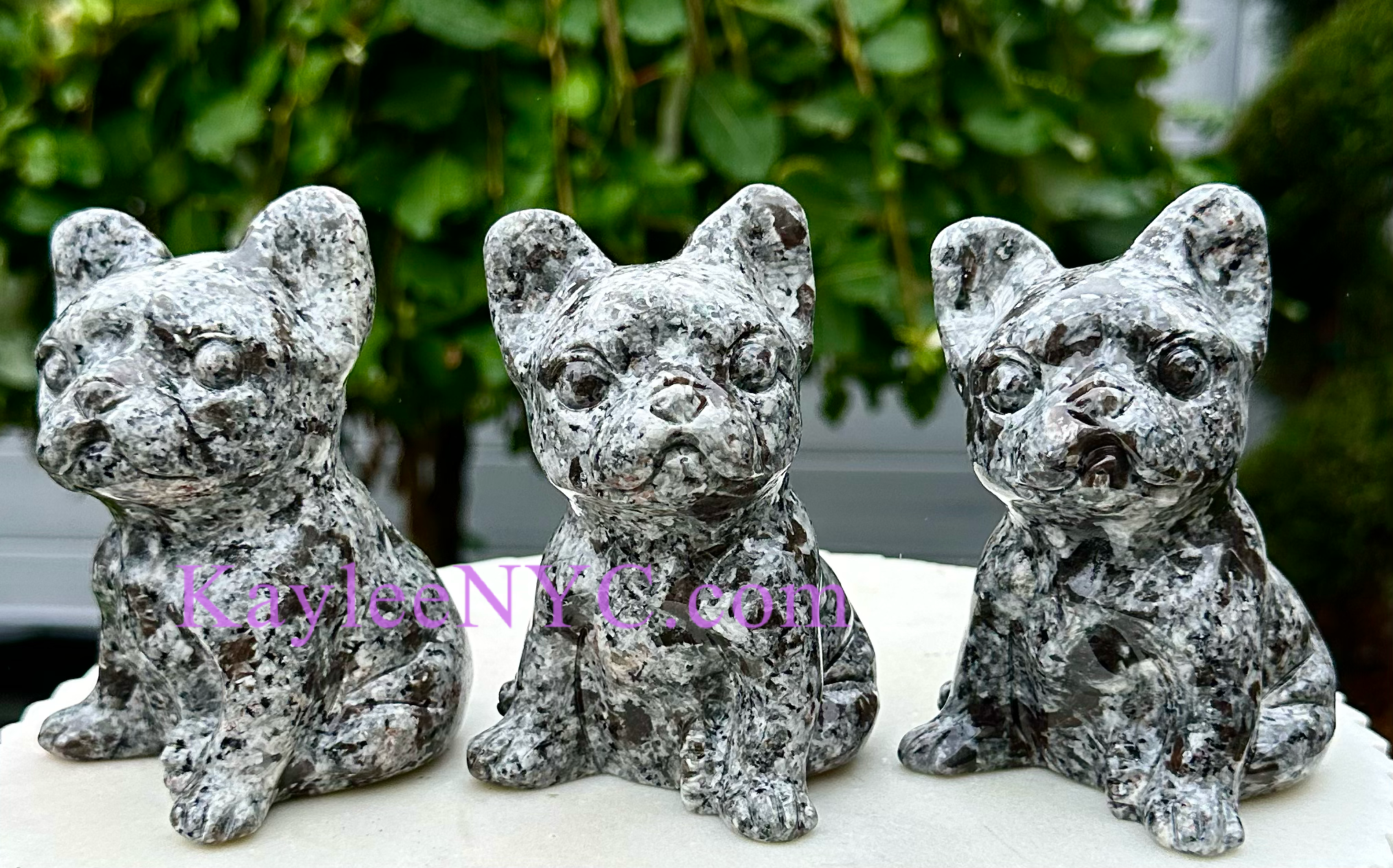 Natural Yooperlite aka Emberlite Dogs Crystal Healing