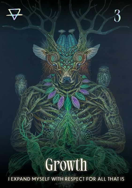 Shamanic Oracle by: Flashcards 144 pages / English