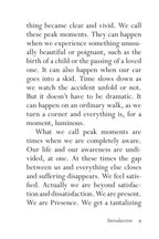 Mindfulness On The Go (Shambhala Pocket Classic)