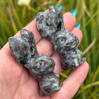 Yooperlite Rabbit 