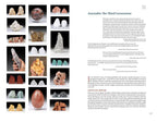 Alchemy of Stones by Robert Simmons: Paperback 496 pages / English
