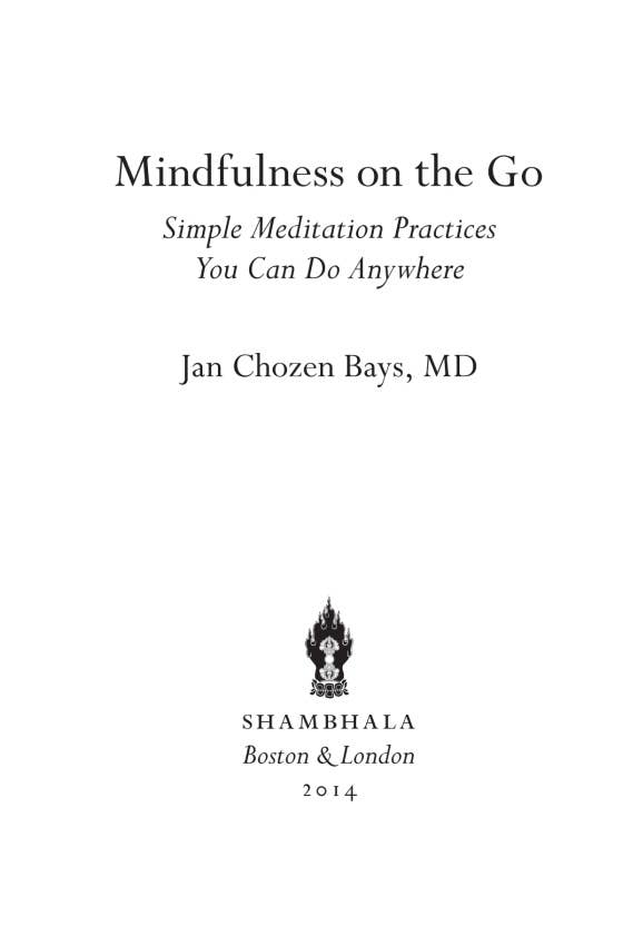 Mindfulness On The Go (Shambhala Pocket Classic)