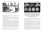 Psychedelic Reawakening by Anton Gomez-Escolar: Paperback 320 pages / English