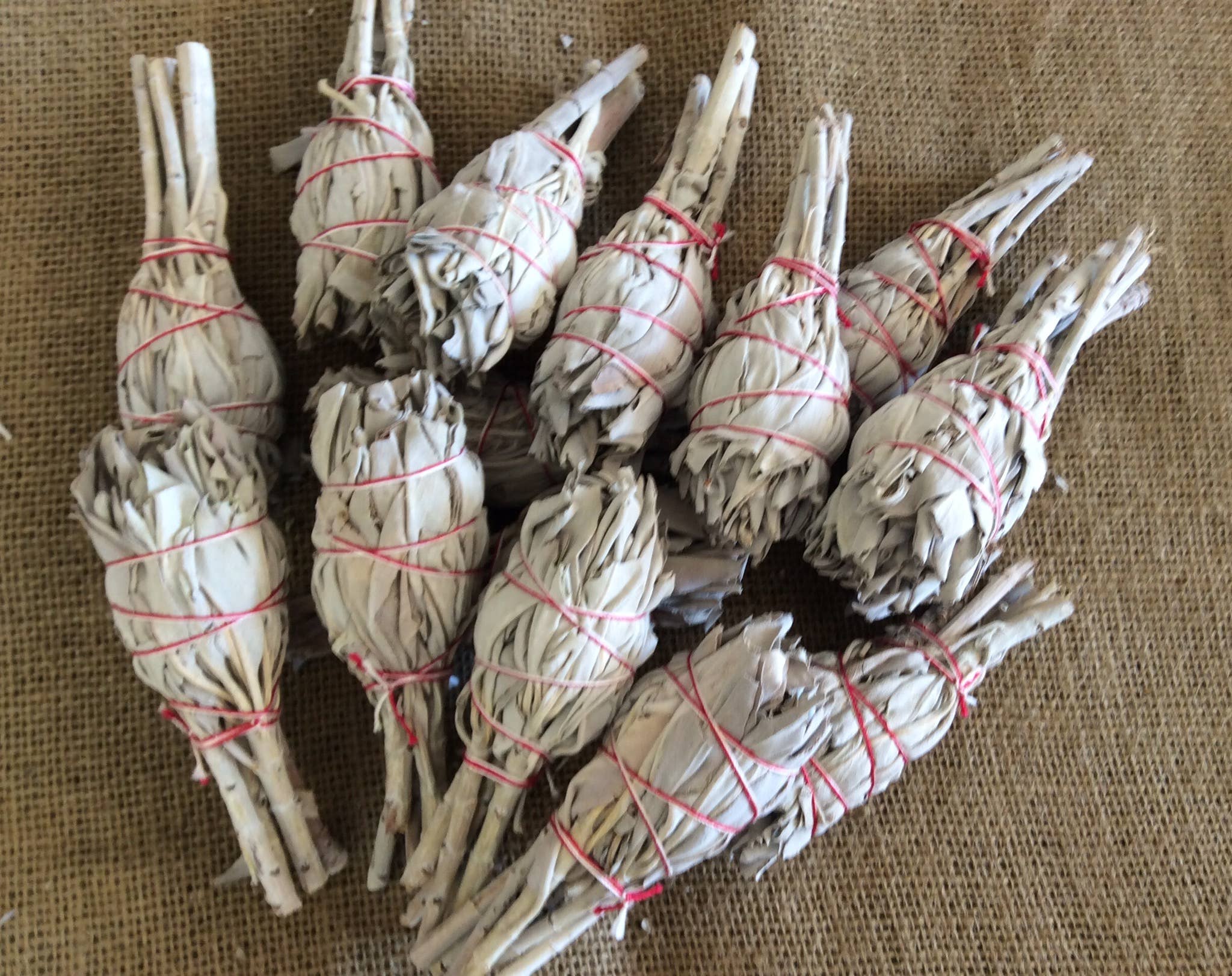 White Sage Mini Drumstick