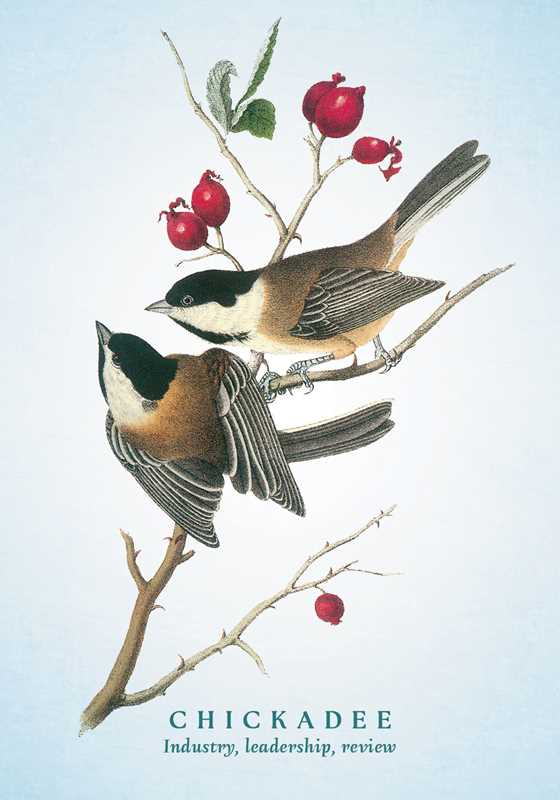 Spiritual Meaning of Birds Oracle Deck by Arin Murphy-Hiscock: Flashcards 50 pages / English
