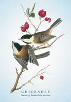 Spiritual Meaning of Birds Oracle Deck by Arin Murphy-Hiscock: Flashcards 50 pages / English
