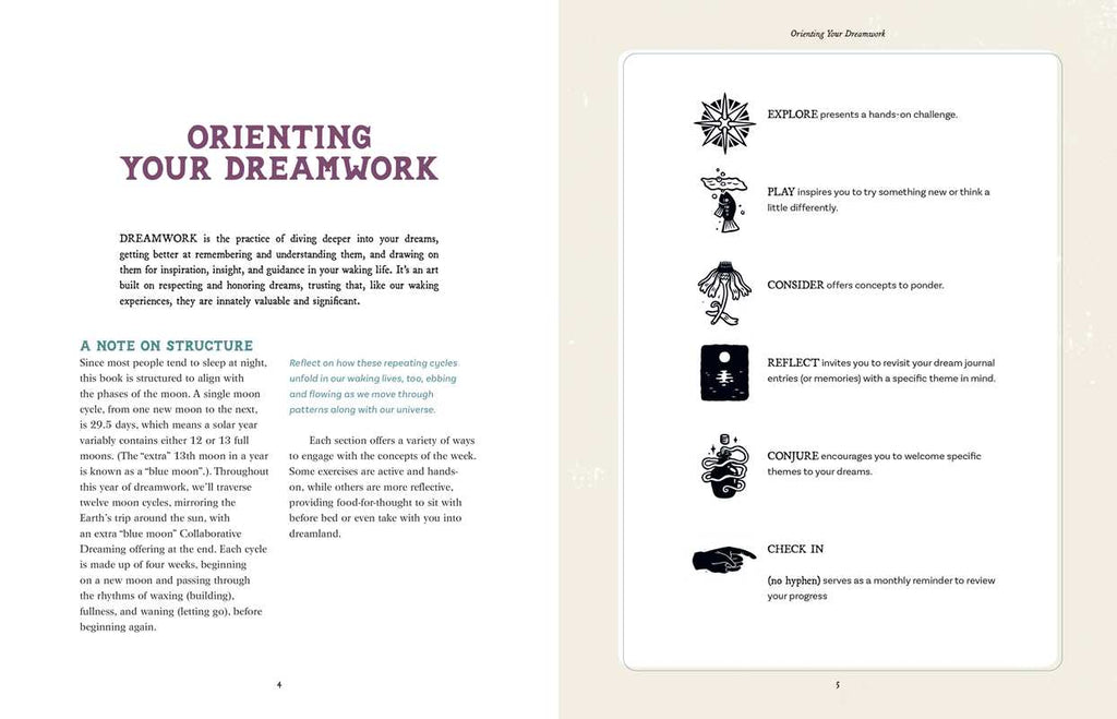 Dream Atlas by Fiona  Cook: Hardcover 208 pages / English