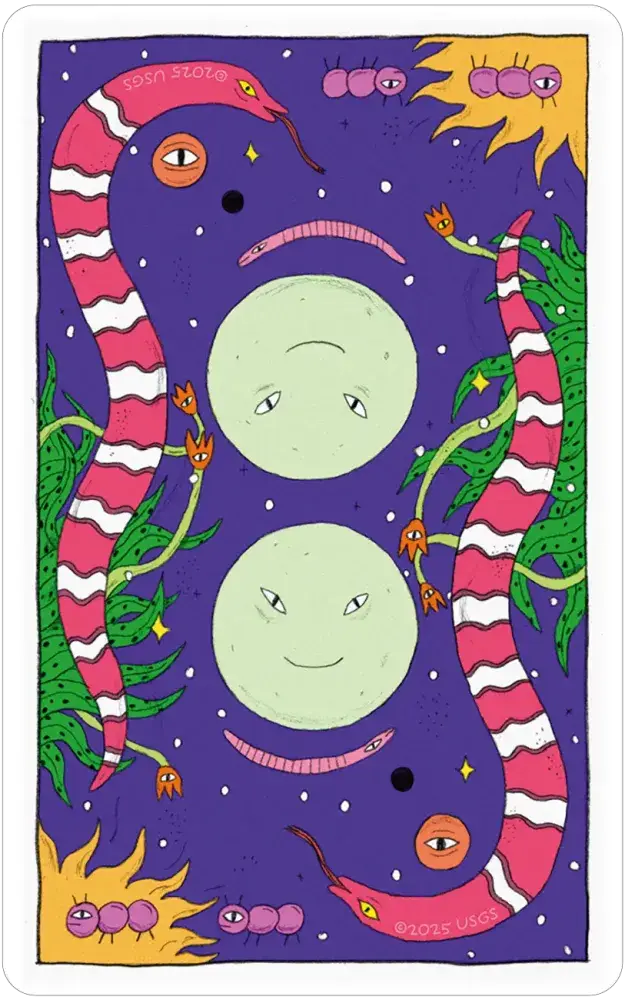 Whimsical Witch Tarot in a Tin