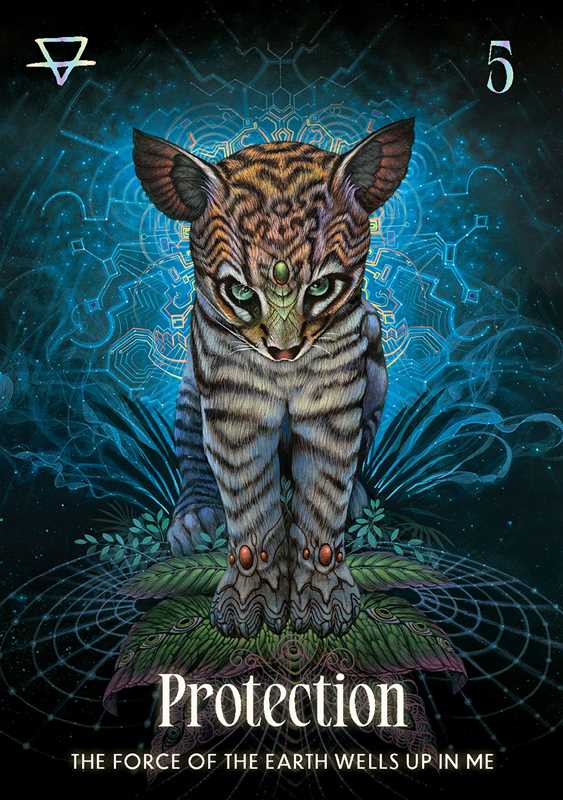 Shamanic Oracle by: Flashcards 144 pages / English