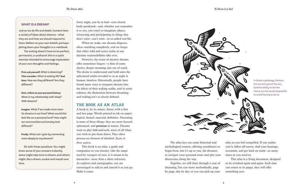 Dream Atlas by Fiona  Cook: Hardcover 208 pages / English