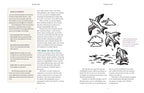 Dream Atlas by Fiona  Cook: Hardcover 208 pages / English