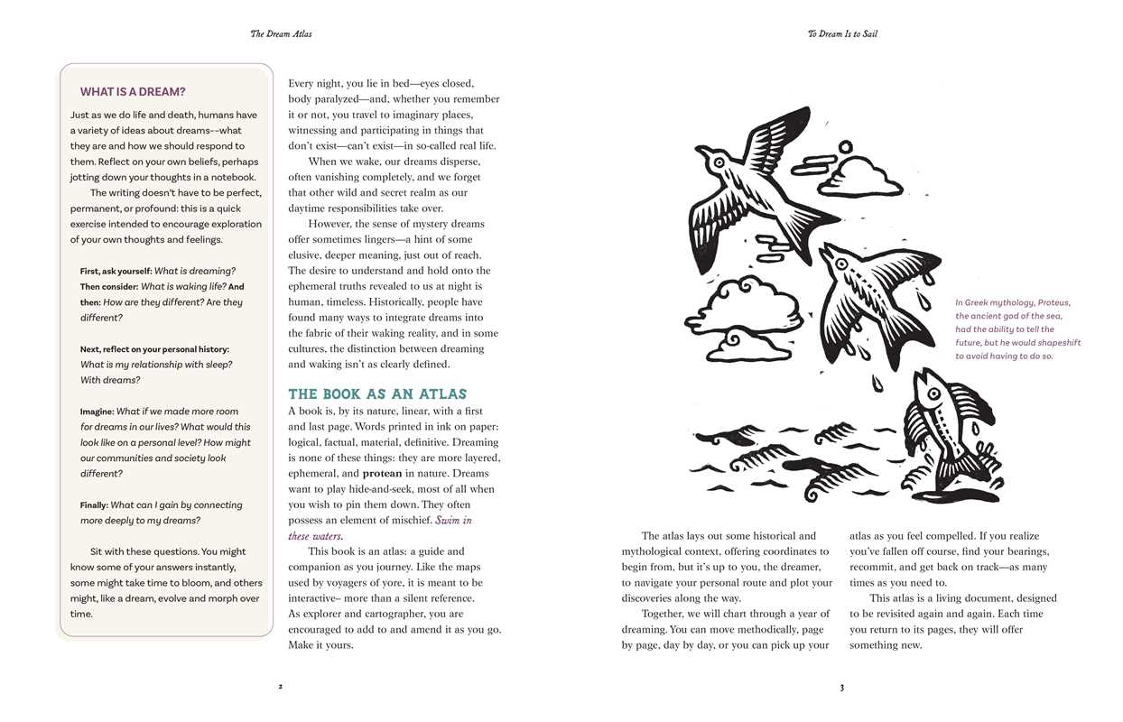 Dream Atlas by Fiona  Cook: Hardcover 208 pages / English