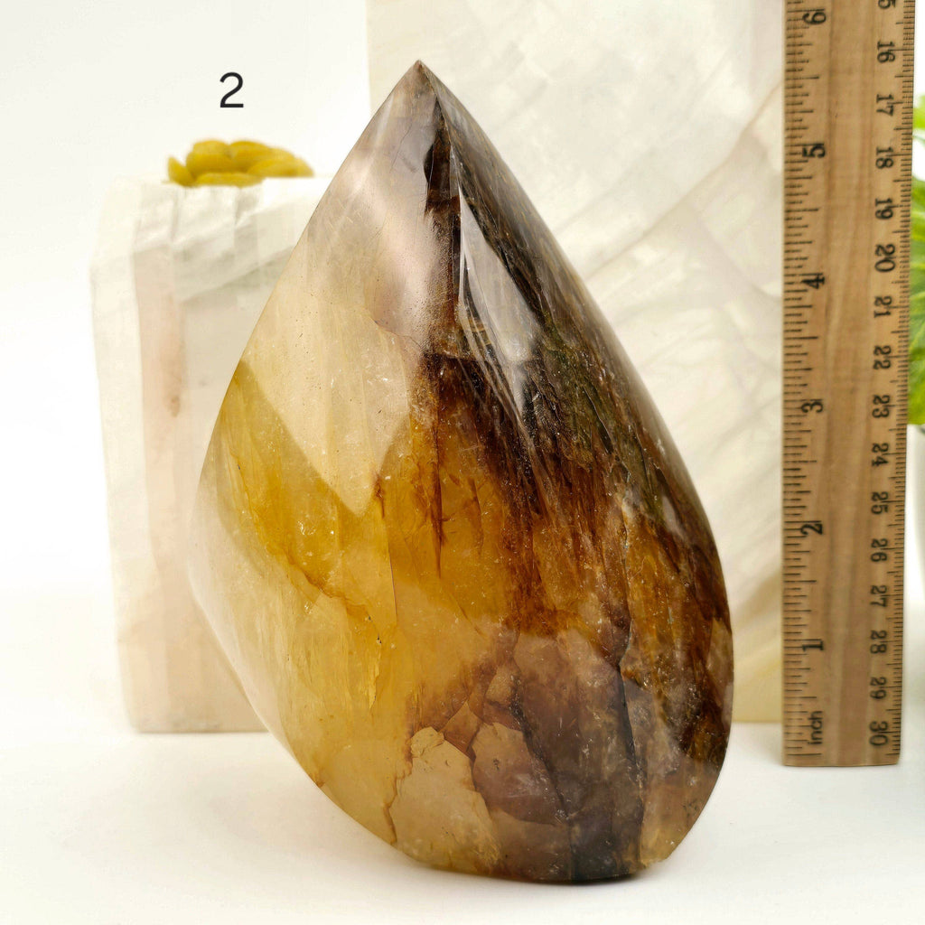 Golden Healer Quartz Crystal Flame Point Cut Base - You Choose #1: 4