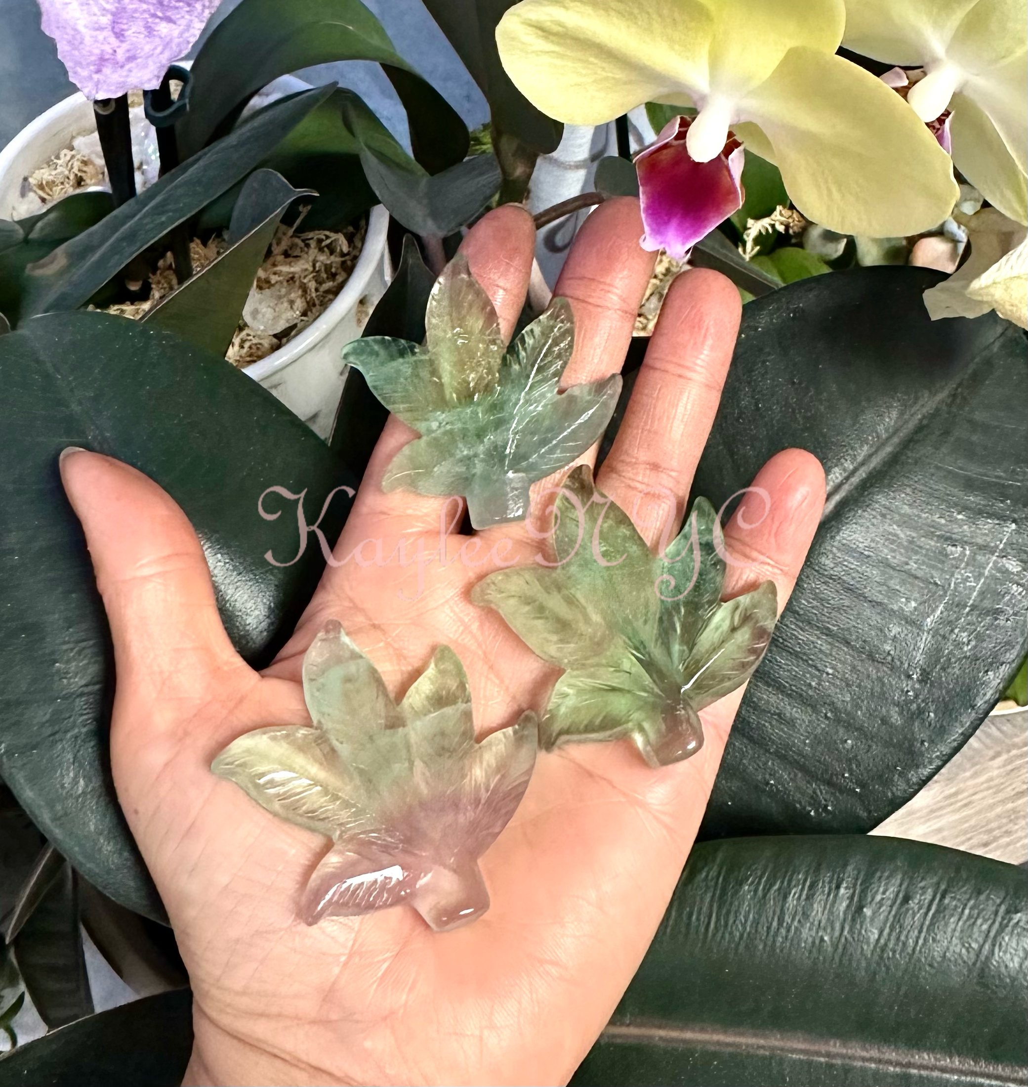 2” Natural Fluorite Pot Leaf Healing