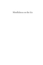 Mindfulness On The Go (Shambhala Pocket Classic)