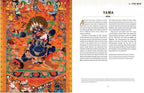 Death and the Afterlife: Hardcover