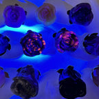 Crystal Rose - Carved Stone -: Yooperlite / Silver