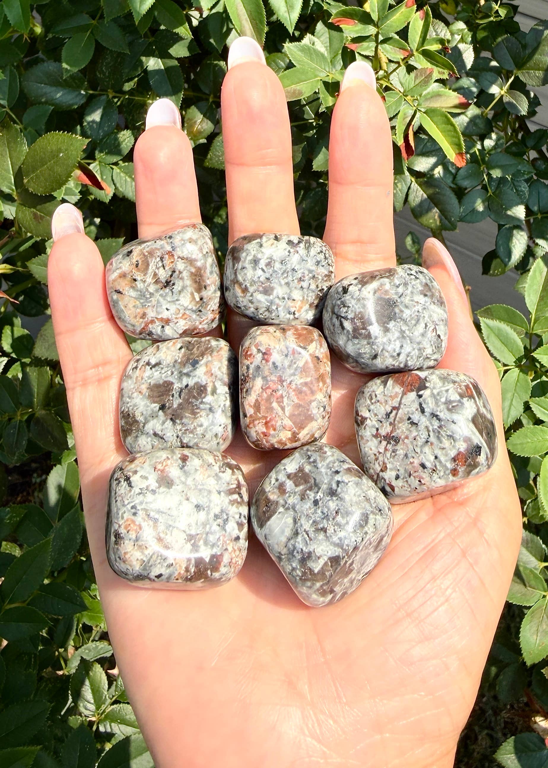 2 Lbs Natural Yooperlite aka Emberlite Tumble Crystal