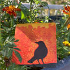 Wisdom Wishes: Cards to spread Joy, Inspiration, and Kindness into the world around you