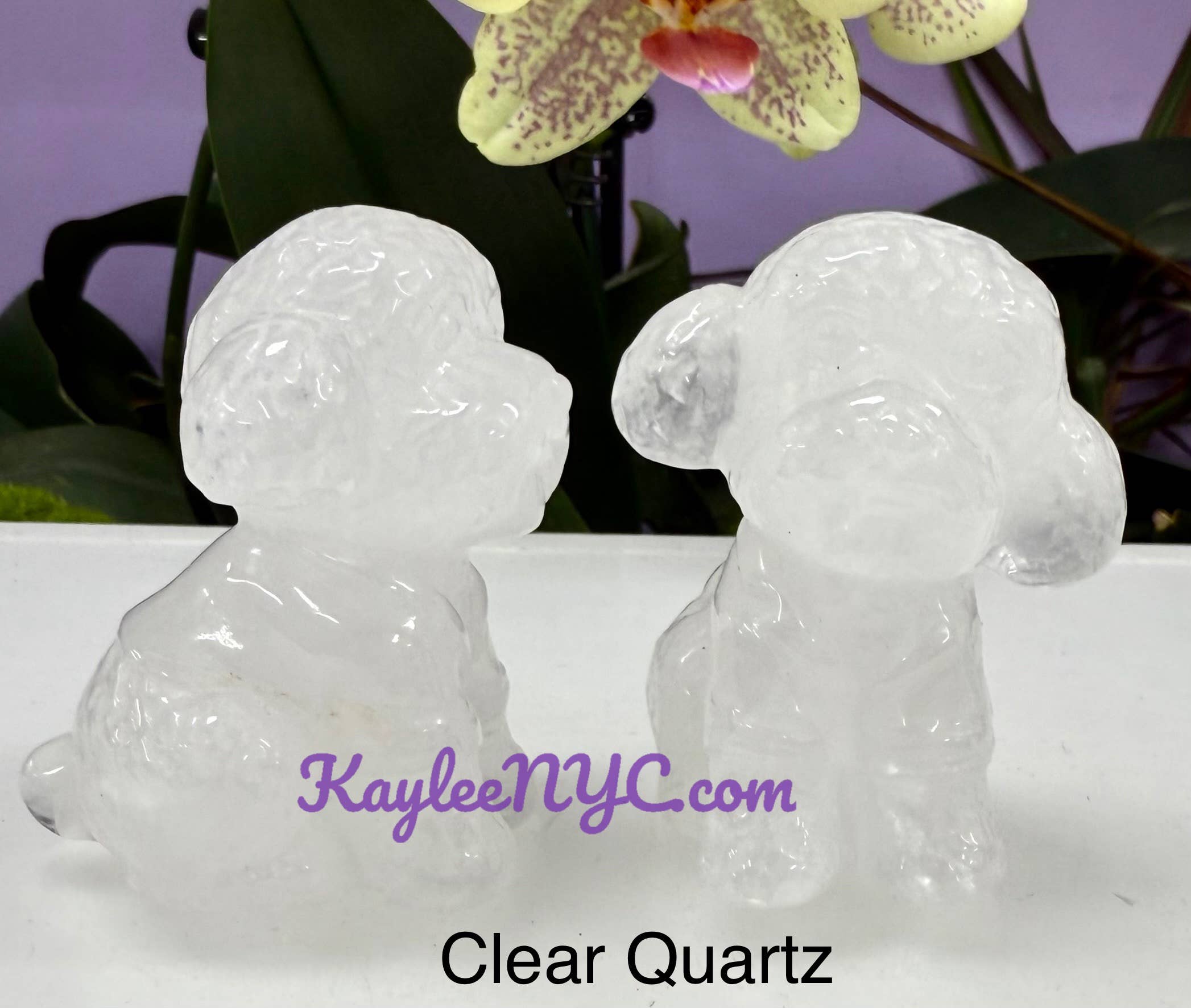 6cm Natural mix Crystal Toy Poodle Healing Energy