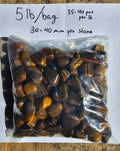 Tiger Eye Gold Tumbled