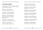 The Little Book Of The Zodiac: Trade Paperback