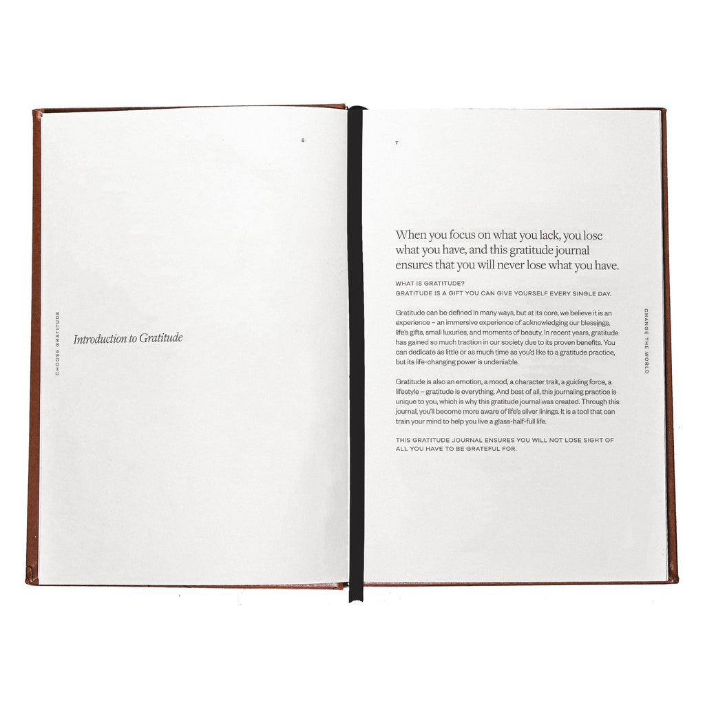 Choose Gratitude Change The World: A Daily Gratitude Journal
