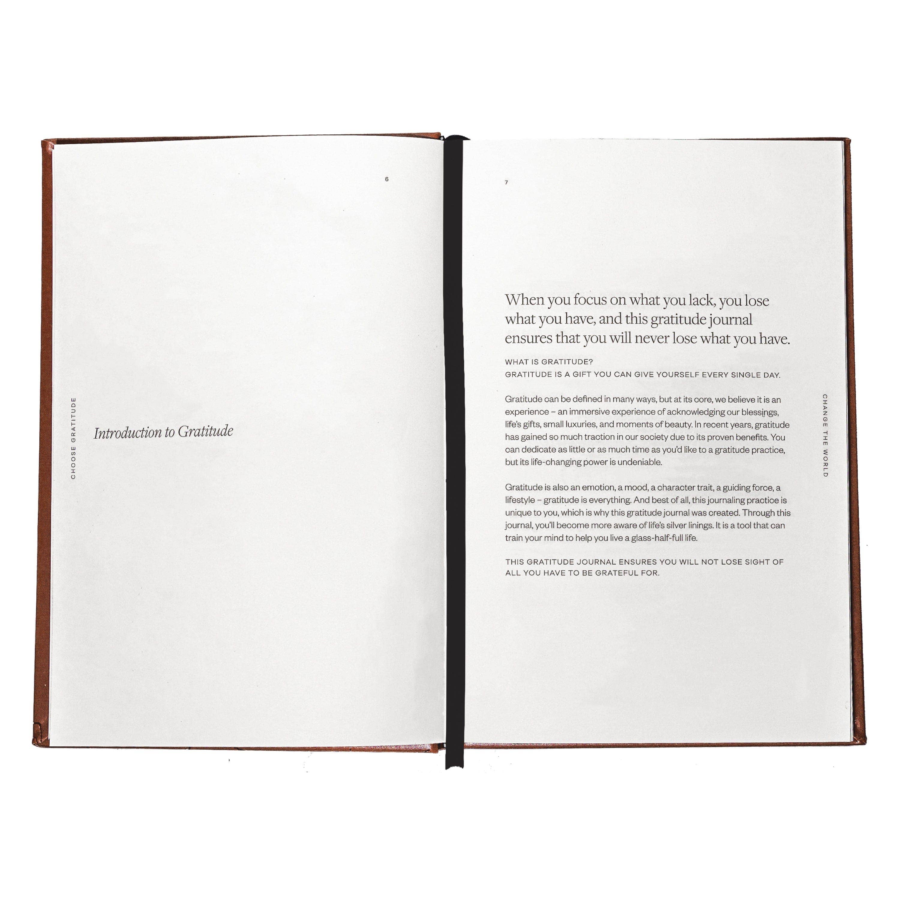 Choose Gratitude Change The World: A Daily Gratitude Journal