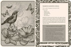 Lost Book of Spells by Fiona Horne: Hardcover 240 pages / English