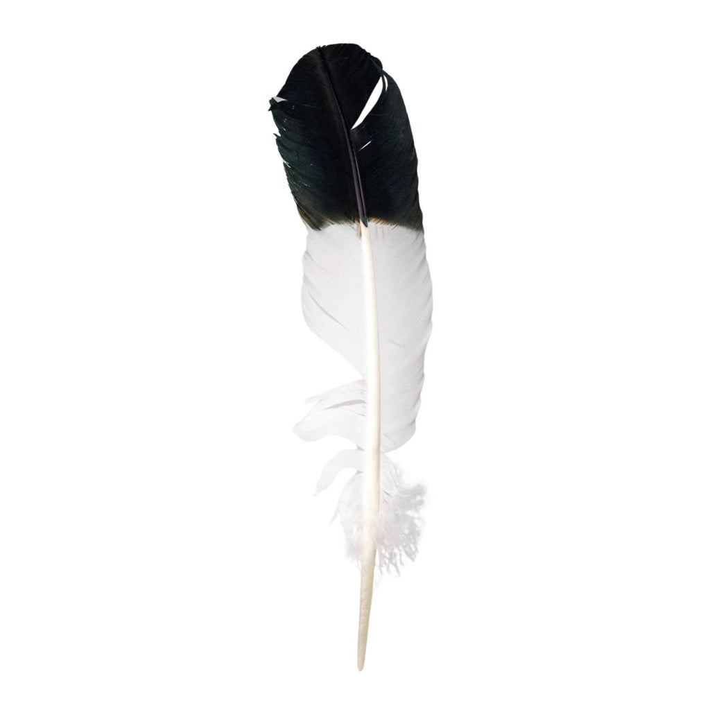 Imitation Eagle Feather.
