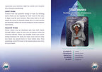 Galactic Guides Oracle by Victoria Maxwell: Flashcards 144 pages / English