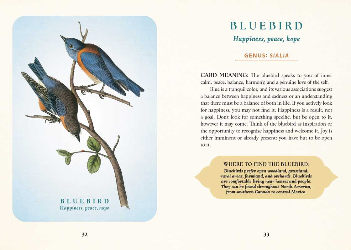 Spiritual Meaning of Birds Oracle Deck by Arin Murphy-Hiscock: Flashcards 50 pages / English