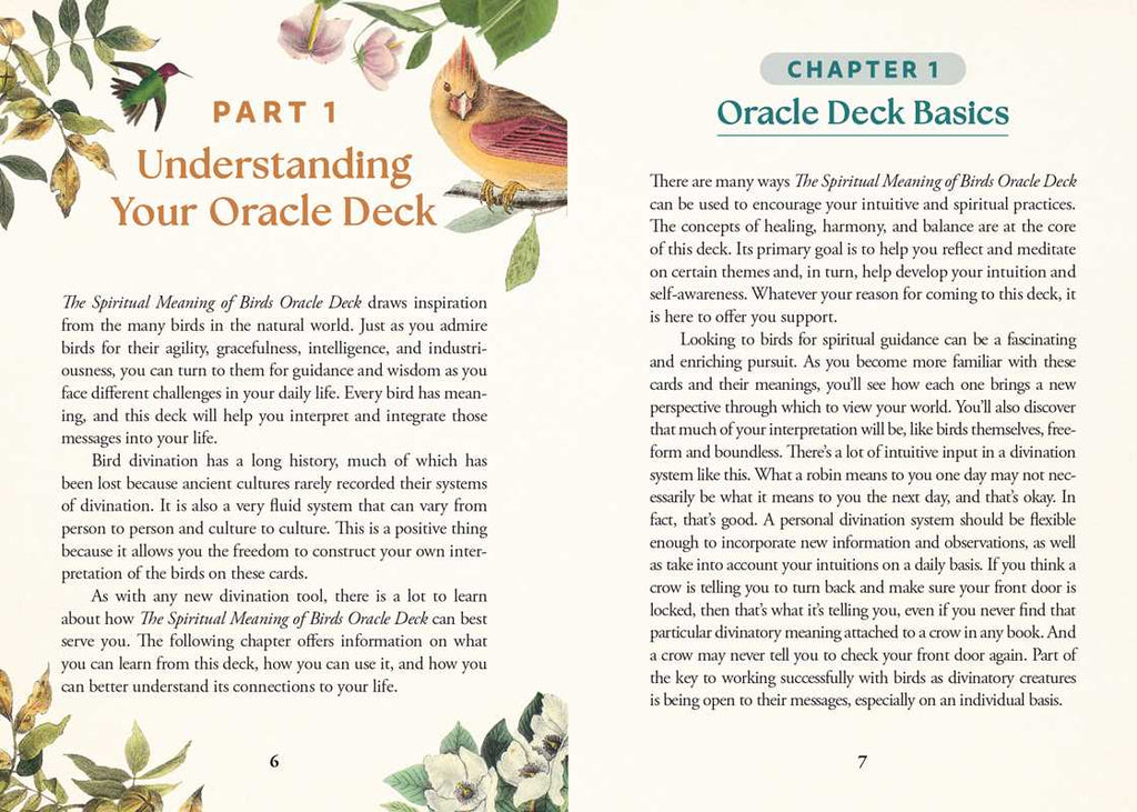 Spiritual Meaning of Birds Oracle Deck by Arin Murphy-Hiscock: Flashcards 50 pages / English
