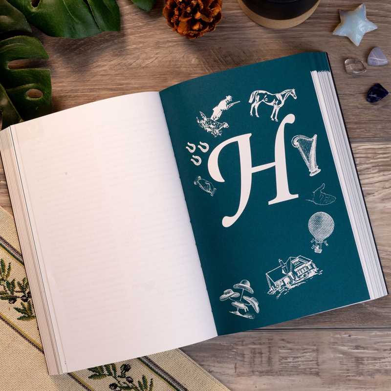 Dream Dictionary by Theresa Cheung: Paperback 592 pages / English