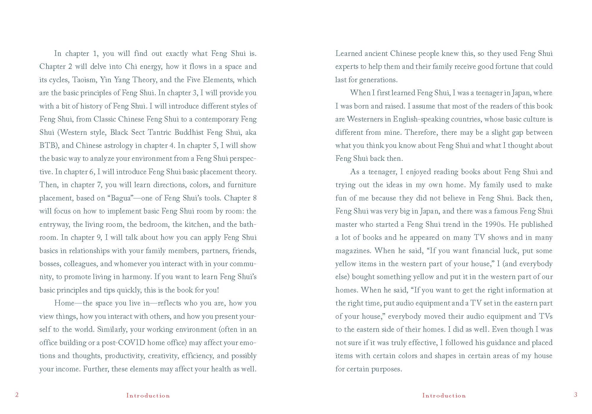 A Little Bit of Feng Shui by Ai Matsui Johnson