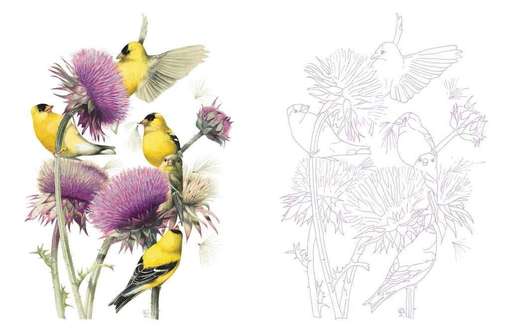 Posh Adult Coloring Book: Inspired by Nature by Marjolein Bastin: Paperback 128 pages / English