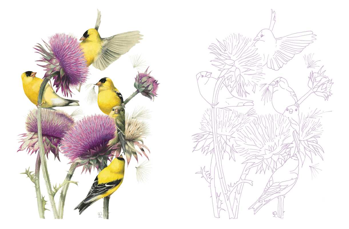 Posh Adult Coloring Book: Inspired by Nature by Marjolein Bastin: Paperback 128 pages / English