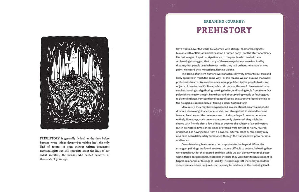 Dream Atlas by Fiona  Cook: Hardcover 208 pages / English