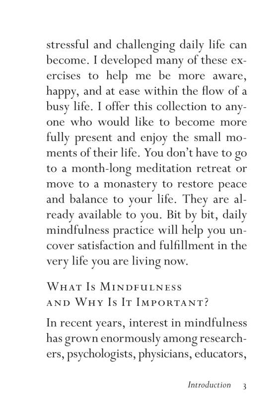 Mindfulness On The Go (Shambhala Pocket Classic)