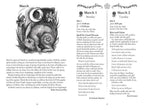 Llewellyn's 2027 Witches' Spell-A-Day Almanac: Daily Spells