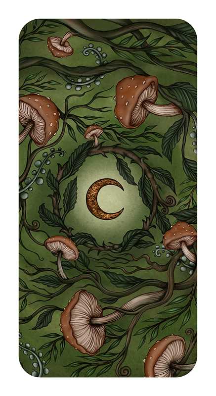 Forest Fae by Nadia Turner: Flashcards 40 pages / English